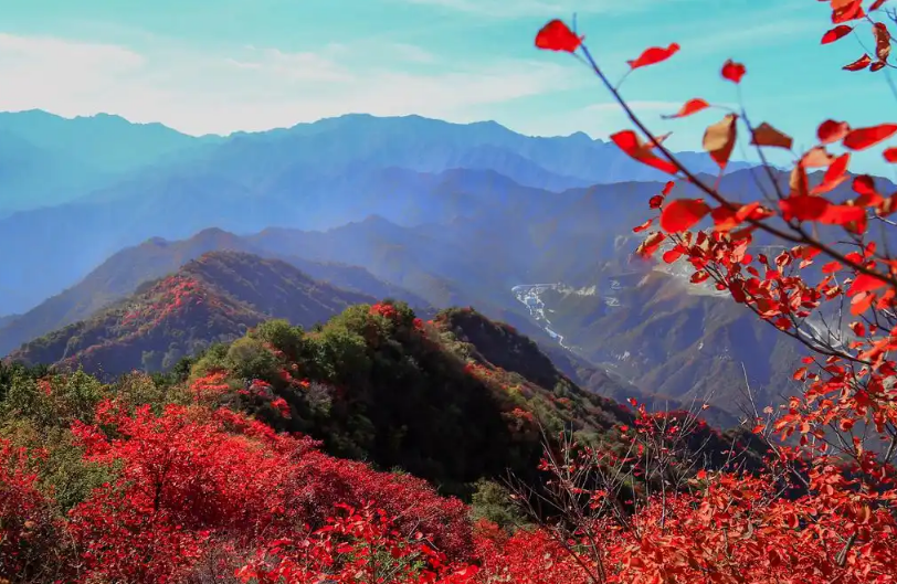 香山票務(wù)系統(tǒng)服務(wù)項目公開招標公告
