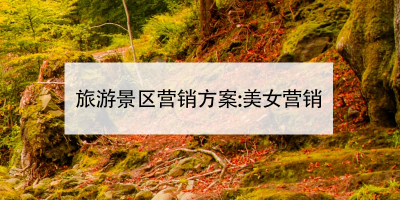 旅游景區(qū)營(yíng)銷方案:美女營(yíng)銷