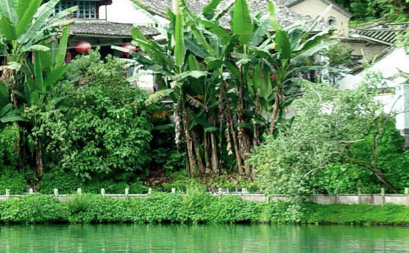 鄉(xiāng)村民宿景區(qū)宣傳策略營(yíng)銷(xiāo)存在問(wèn)題