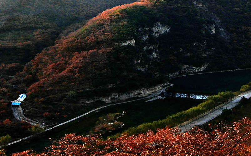 旅游景區(qū)搭上網(wǎng)絡(luò)直播的快車