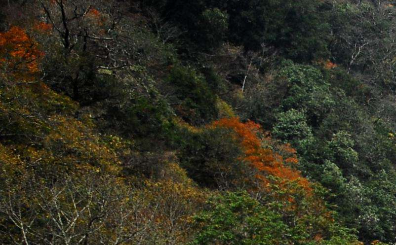 影視旅游目的地集合粉絲群體，助力景區(qū)精準營銷