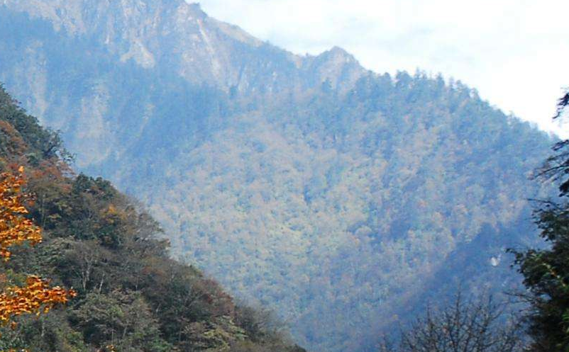 影視旅游目的地集合粉絲群體，助力景區(qū)精準營銷