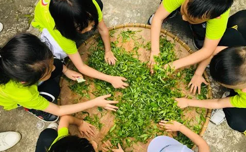 親子研學(xué)、家庭休閑為主要出游動機