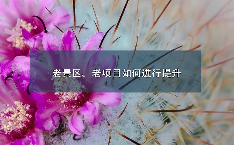 老景區(qū)、老項(xiàng)目如何進(jìn)行提升