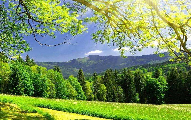 景區(qū)如何服務(wù)好本地游客，做好本地游客市場(chǎng)