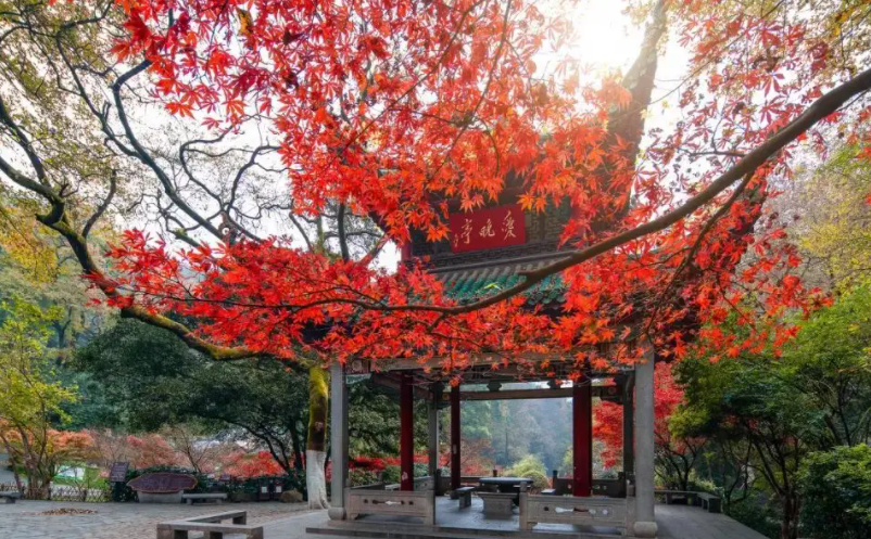 網(wǎng)紅景區(qū)憑什么脫穎而出？