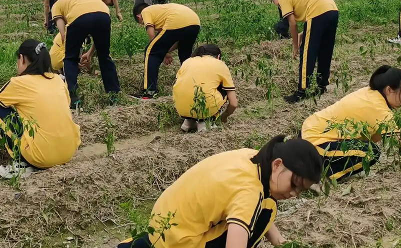 繼“雙減”政策后，如何創(chuàng)新研學旅游產(chǎn)品和服務