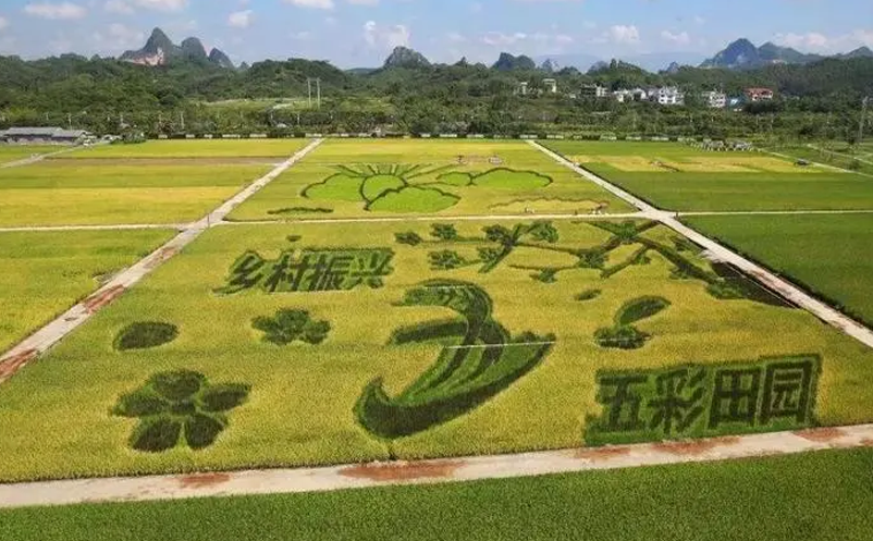 鄉(xiāng)村旅游創(chuàng)新機(jī)會玩法：農(nóng)旅+劇本殺 