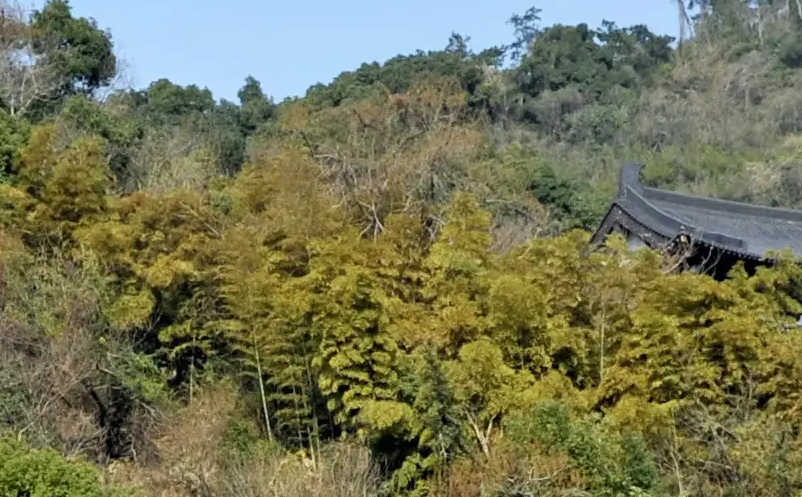 旅游景區(qū)門票經(jīng)濟(jì)的表現(xiàn)特征