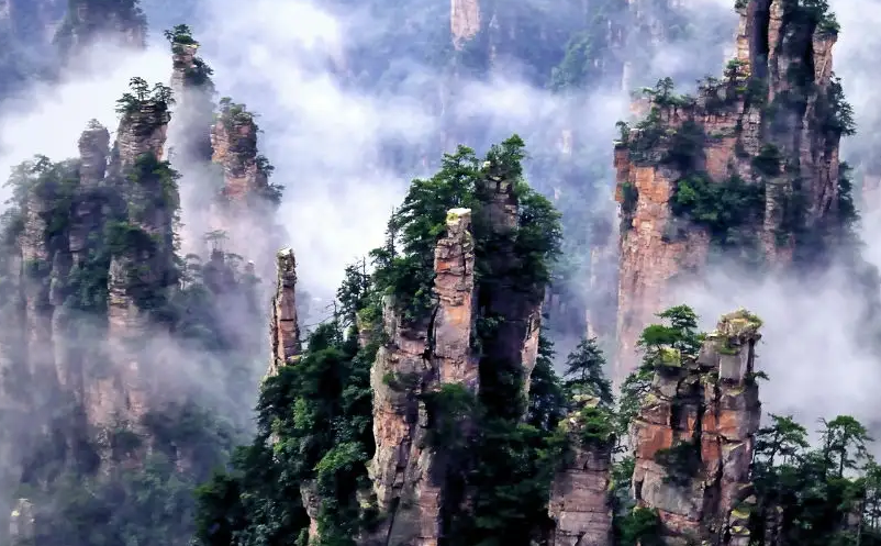 旅游景區(qū)利用抖音短視頻營銷的成功案例 