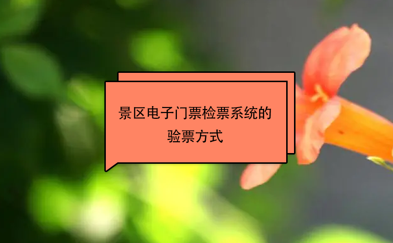 景區(qū)電子門票檢票系統(tǒng)的驗票方式