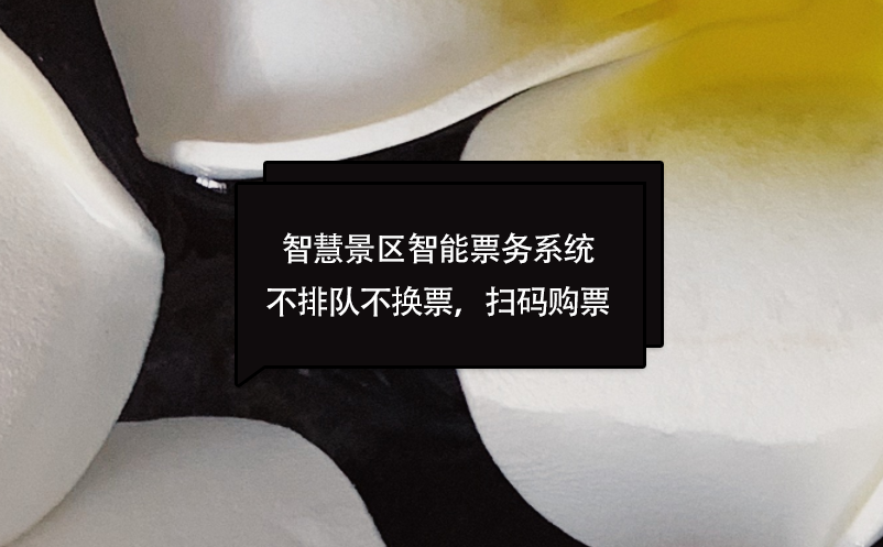 智慧景區(qū)智能票務(wù)系統(tǒng)不排隊(duì)不換票，掃碼購(gòu)票