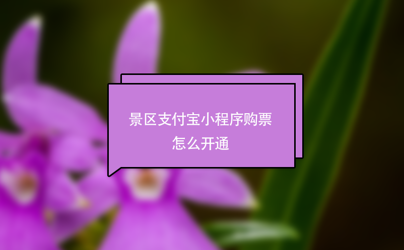 景區(qū)支付寶小程序購票怎么開通？