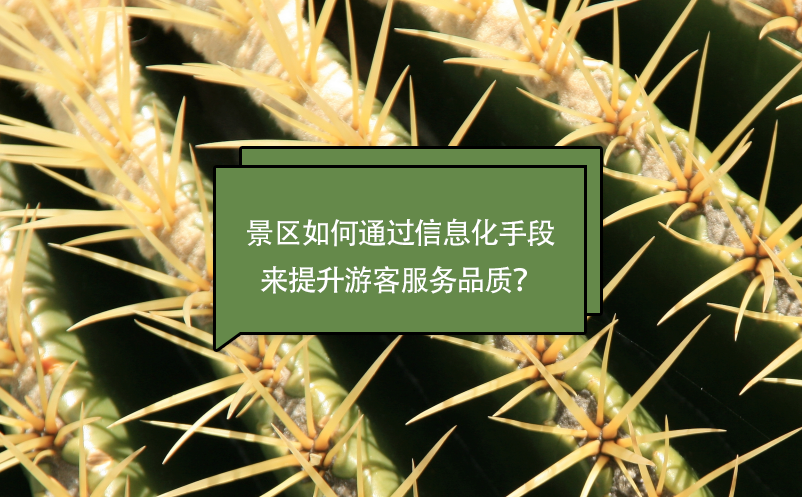 景區(qū)如何通過信息化手段來提升游客服務(wù)品質(zhì)？