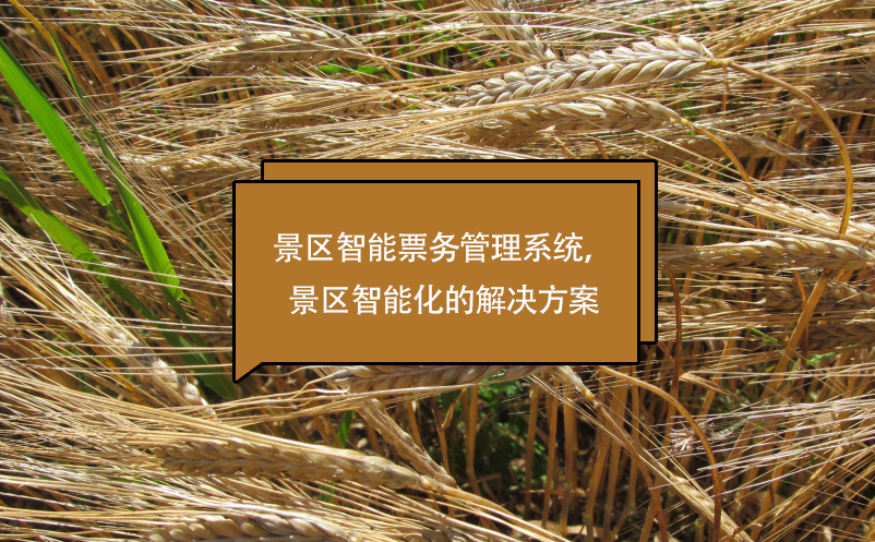 景區(qū)智能票務管理系統(tǒng)，景區(qū)智能化的解決方案