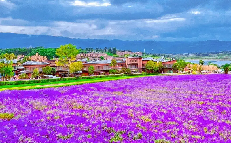 景區(qū)門票銷售混亂怎么辦？試試易景通景區(qū)票務(wù)系統(tǒng)