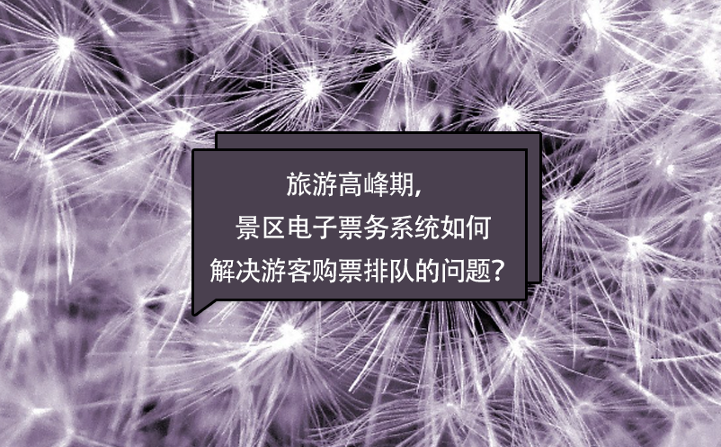 旅游高峰期，景區(qū)電子票務(wù)系統(tǒng)如何解決游客購票排隊(duì)的問題？