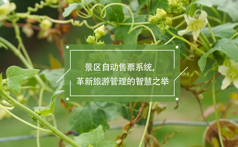 景區(qū)自動售票系統(tǒng)，革新旅游管理的智慧之舉