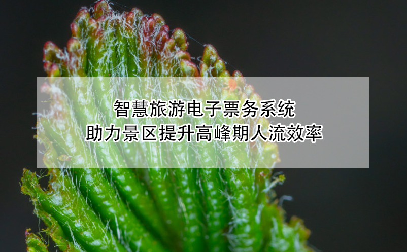 智慧旅游電子票務(wù)系統(tǒng)助力景區(qū)提升高峰期人流效率