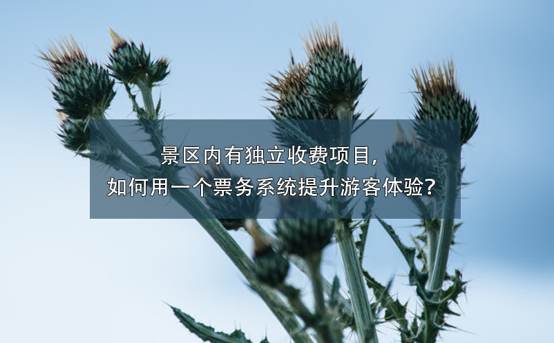 景區(qū)內(nèi)有獨(dú)立收費(fèi)項(xiàng)目，如何用一個(gè)票務(wù)系統(tǒng)提升游客體驗(yàn)？