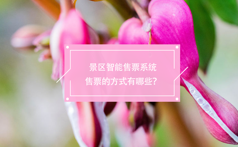 景區(qū)智能售票系統(tǒng)售票的方式有哪些？