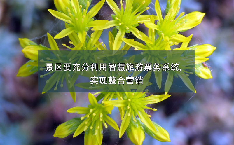 景區(qū)要充分利用智慧旅游票務(wù)系統(tǒng)，實(shí)現(xiàn)整合營(yíng)銷(xiāo)