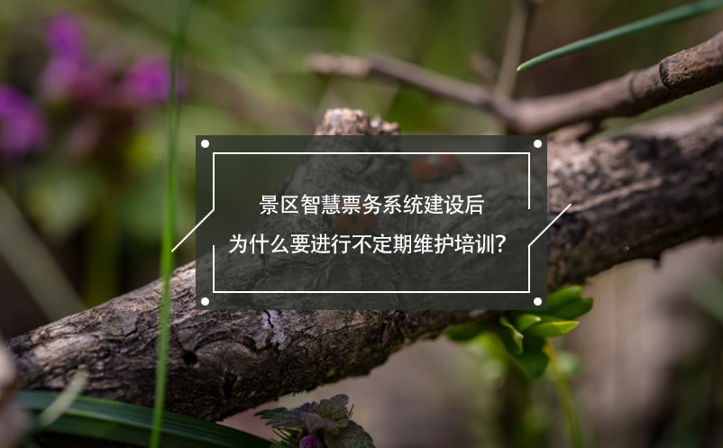 景區(qū)智慧票務(wù)系統(tǒng)建設(shè)后為什么要進(jìn)行不定期維護(hù)培訓(xùn)？