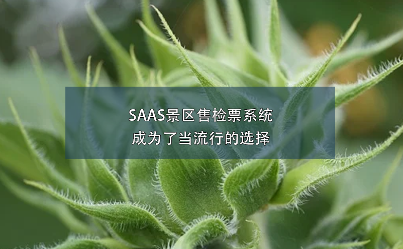 SAAS景區(qū)售檢票系統(tǒng)成為了當(dāng)流行的選擇