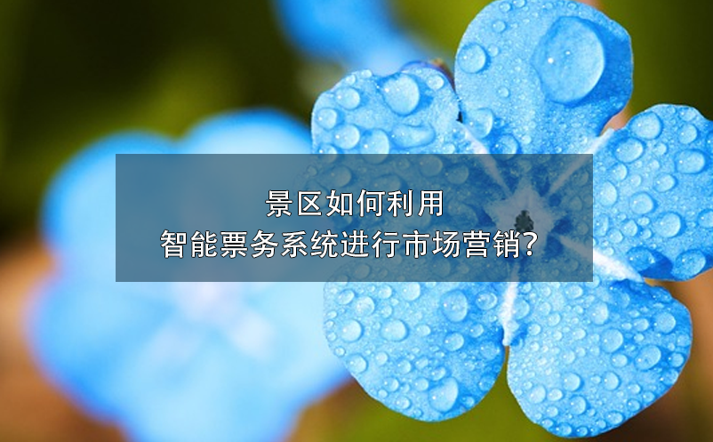 景區(qū)如何利用智能票務系統進行市場營銷？
