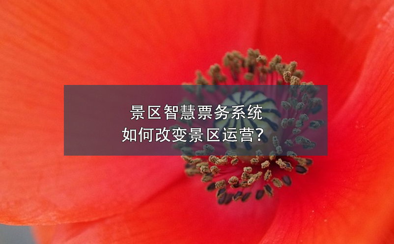 景區(qū)智慧票務(wù)系統(tǒng)如何改變景區(qū)運(yùn)營？