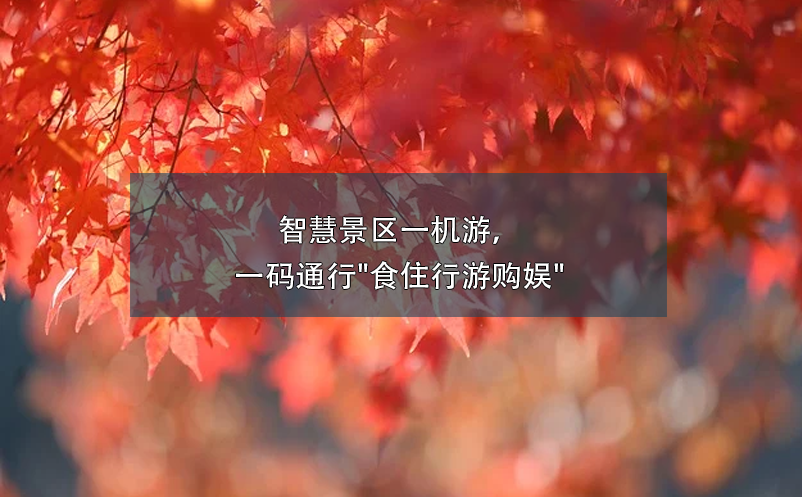智慧景區(qū)一機游，一碼通行