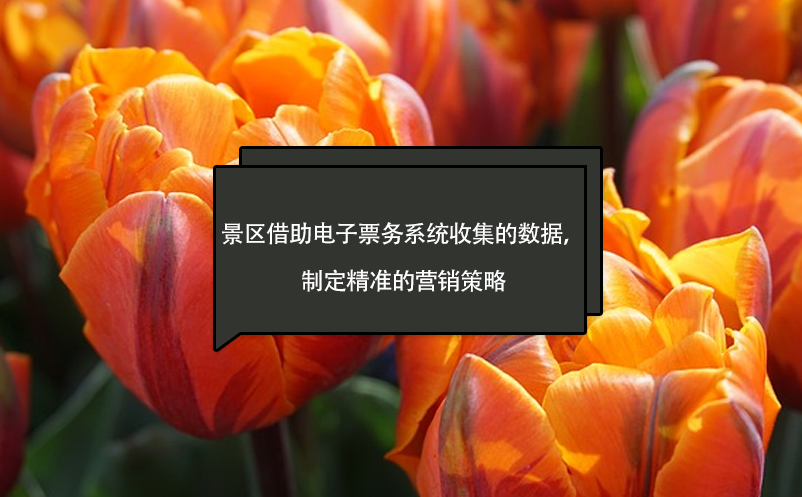 景區(qū)借助電子票務系統(tǒng)收集的數(shù)據(jù)，制定精準的營銷策略