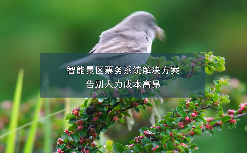 端午小長假，智能票務(wù)系統(tǒng)如何在確保游客體驗和提升景區(qū)的管理？