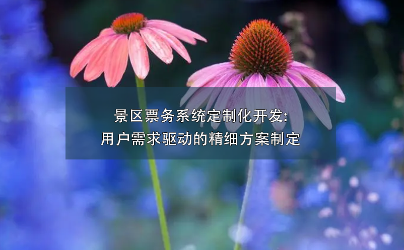 景區(qū)票務(wù)系統(tǒng)定制化開發(fā):用戶需求驅(qū)動的精細(xì)方案制定