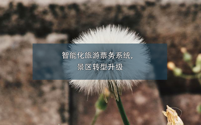 智能化旅游票務(wù)系統(tǒng)，景區(qū)轉(zhuǎn)型升級(jí)